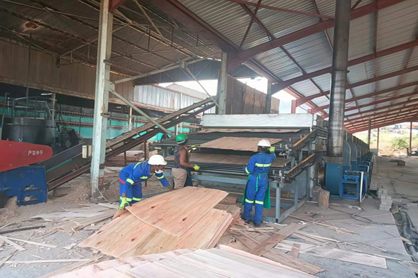 楊木單板午夜视频成人