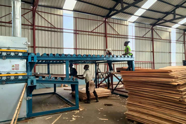 雙層單板午夜激情在线观看